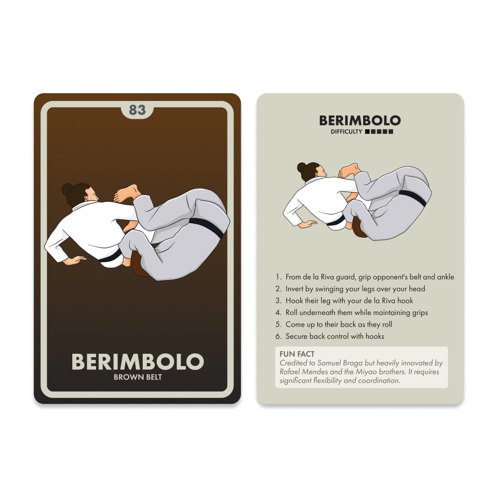 BJJ Flashcards – 100 Essential Jiu Jitsu Techniques from White to Black Belt