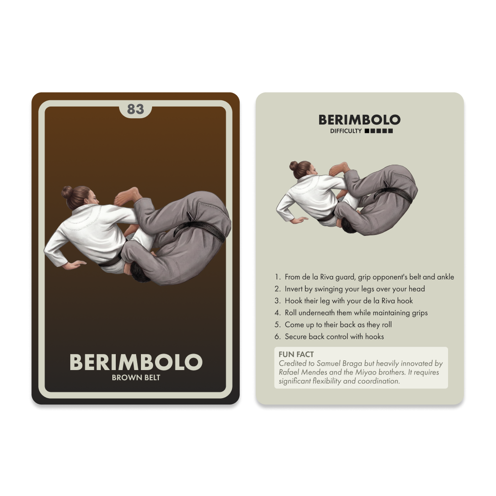 BJJ Flashcards – 100 Essential Jiu Jitsu Techniques from White to Black Belt
