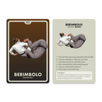 BJJ Flashcards – 100 Essential Jiu Jitsu Techniques from White to Black Belt